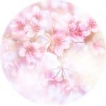 Yoni massage for sexual healing in women